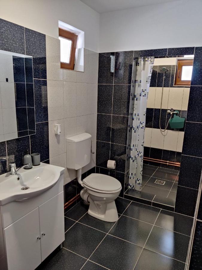 Maison d'hôtes Casa Marina à Călimăneşti Extérieur photo